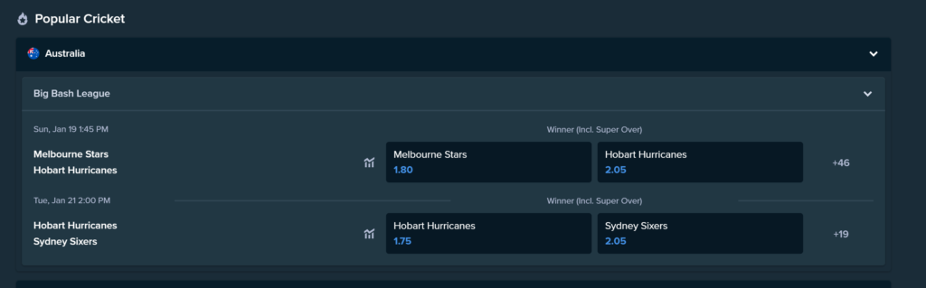 Stake bet on cricket