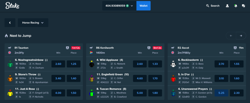 Stake.com—Bet on Racing Games and earn money.